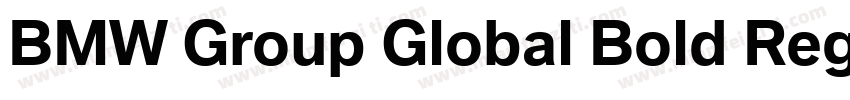 BMW Group Global Bold Regular字体转换